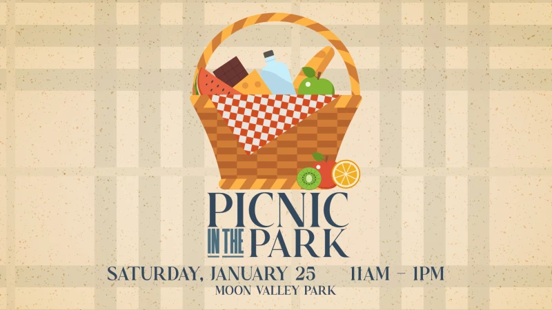 Picnic In The Park 