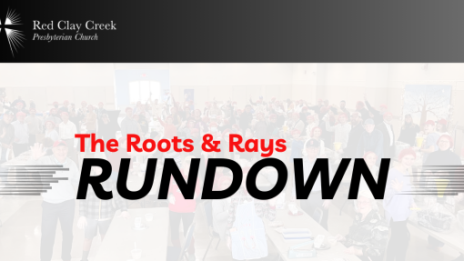 Roots & Rays Rundown - 11.21.2023