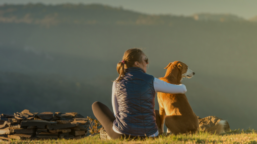 A True Friend Indeed