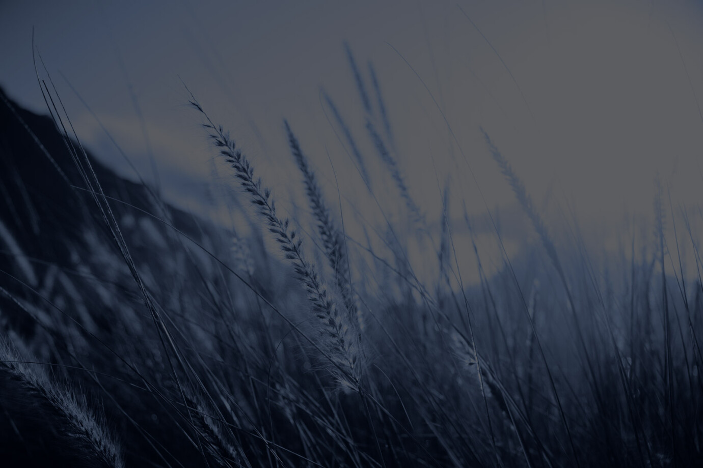 Sunday Worship Service