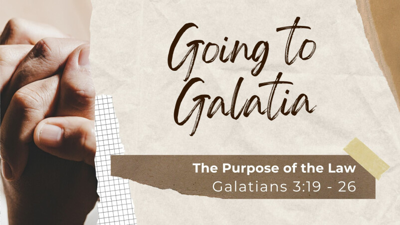 The Purpose of the Law