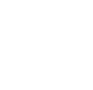 Since 1906 Logo