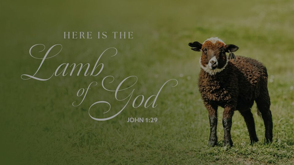 Watch January 18 Worship Video