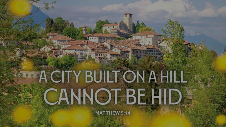 Watch February 8 Live Stream