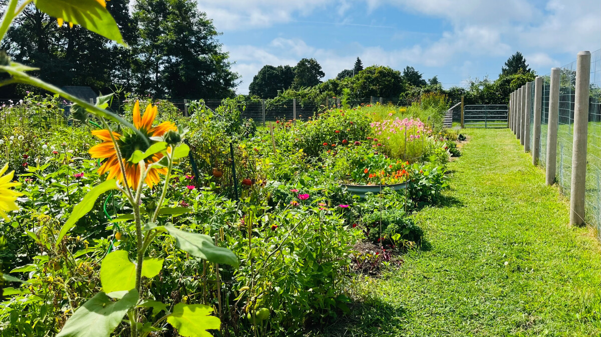 Pollinator Garden Presentation