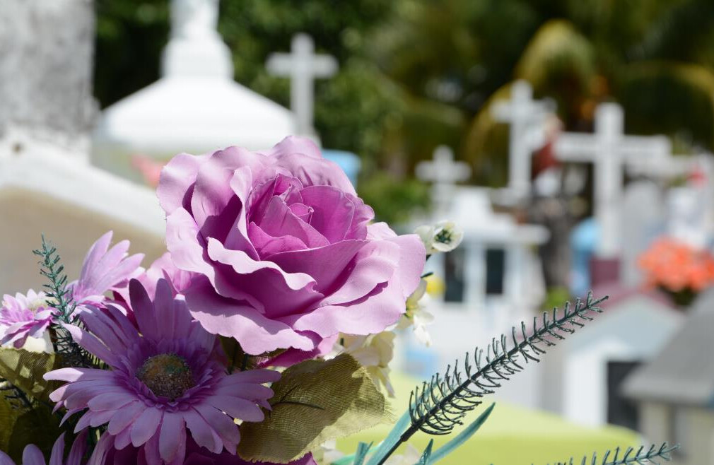 End of Life Series
