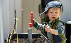Keep Sowing Seeds