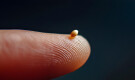 Small Beginnings
