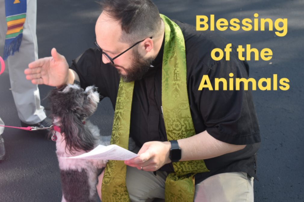 The Blessing of the Animals: October 4