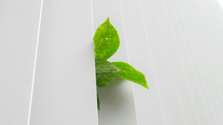 A green plant poking through a white fence