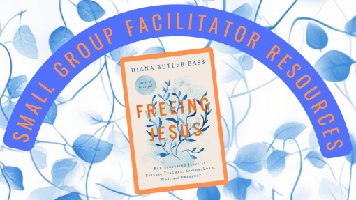 Freeing Jesus: Small Group Facilitator Resources