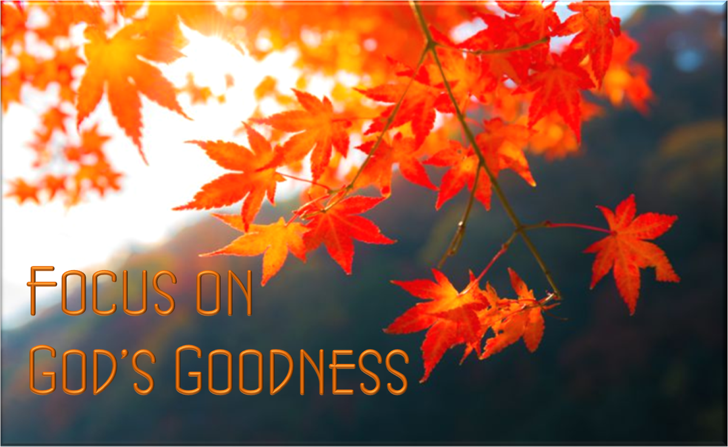Focus on God's Goodness