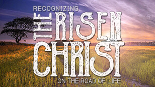 Recognizing the Risen Christ on the Road of Life