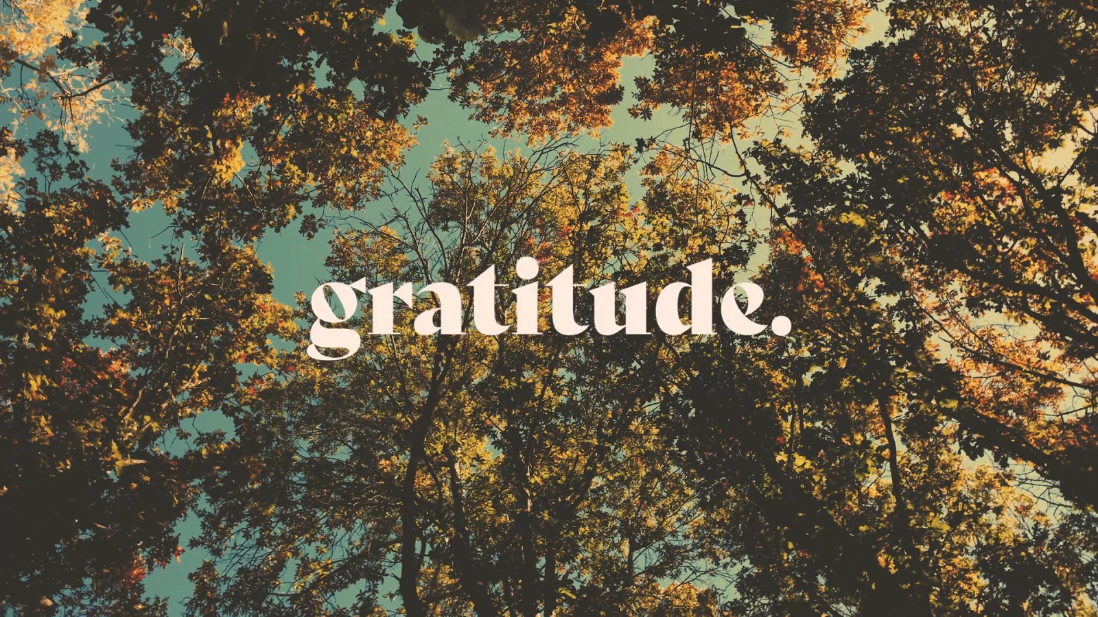 Gratitude Against the Grain: The Challenge of Gratitude in Every Circumstance