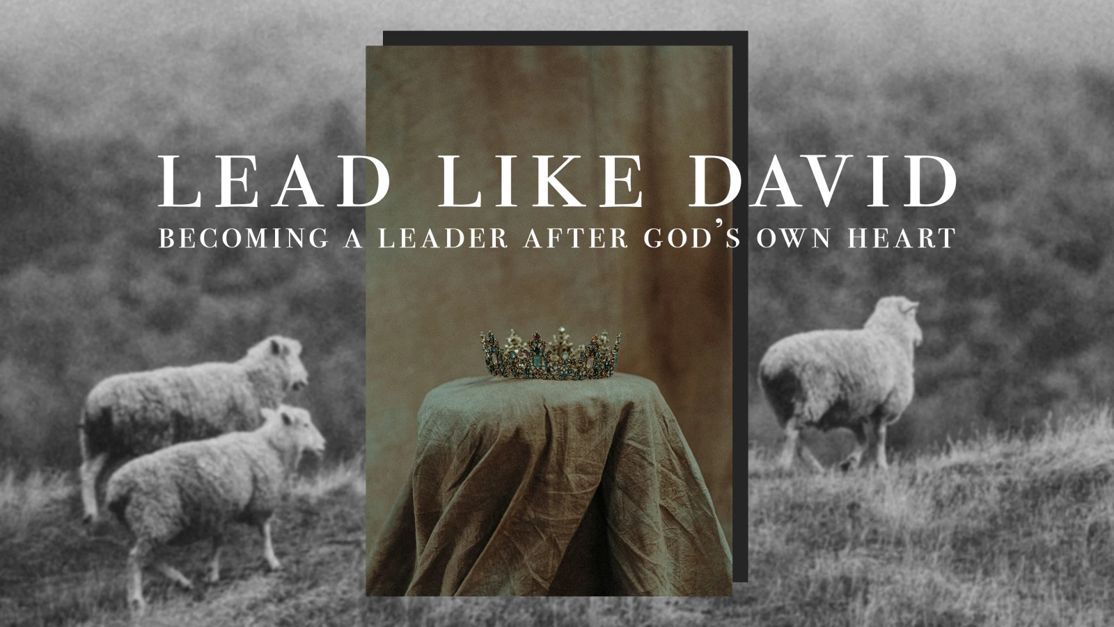 Lead Like David