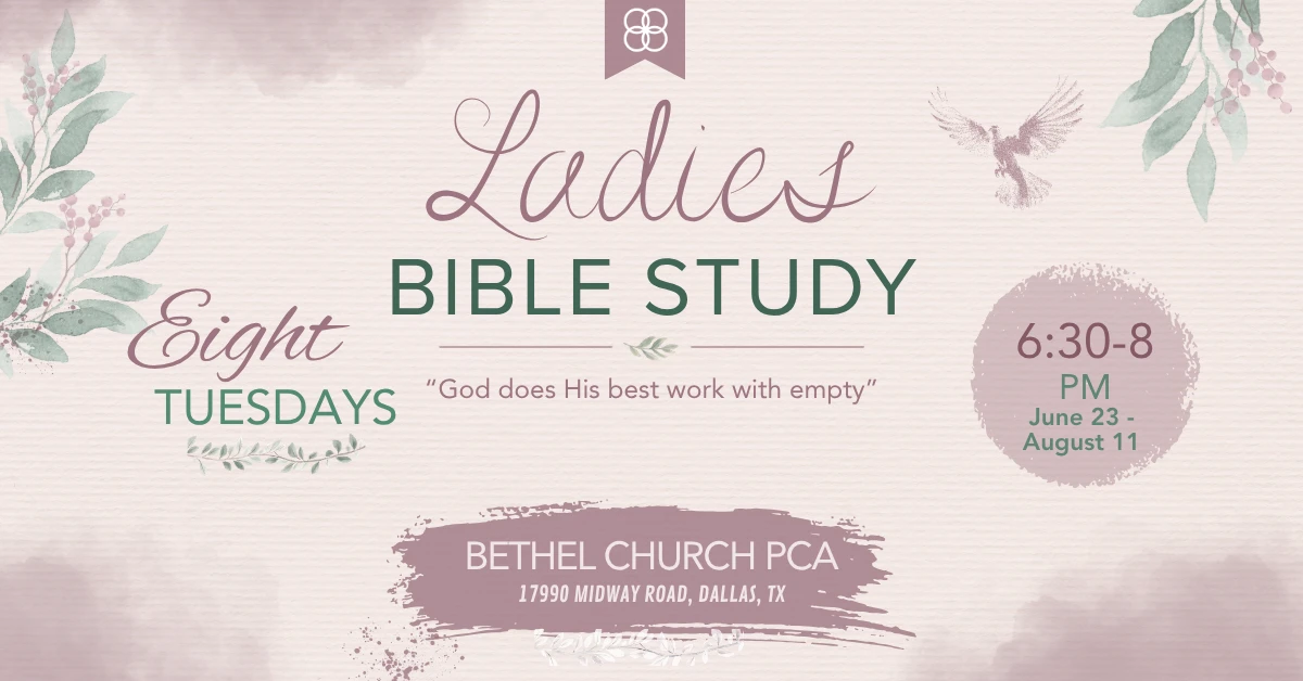 Ladies Summer Bible Study