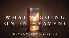 What's Going On In Heaven