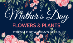 Mother's Day Flowers For Sale