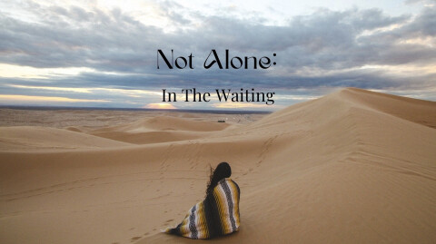Not Alone: In The Waiting