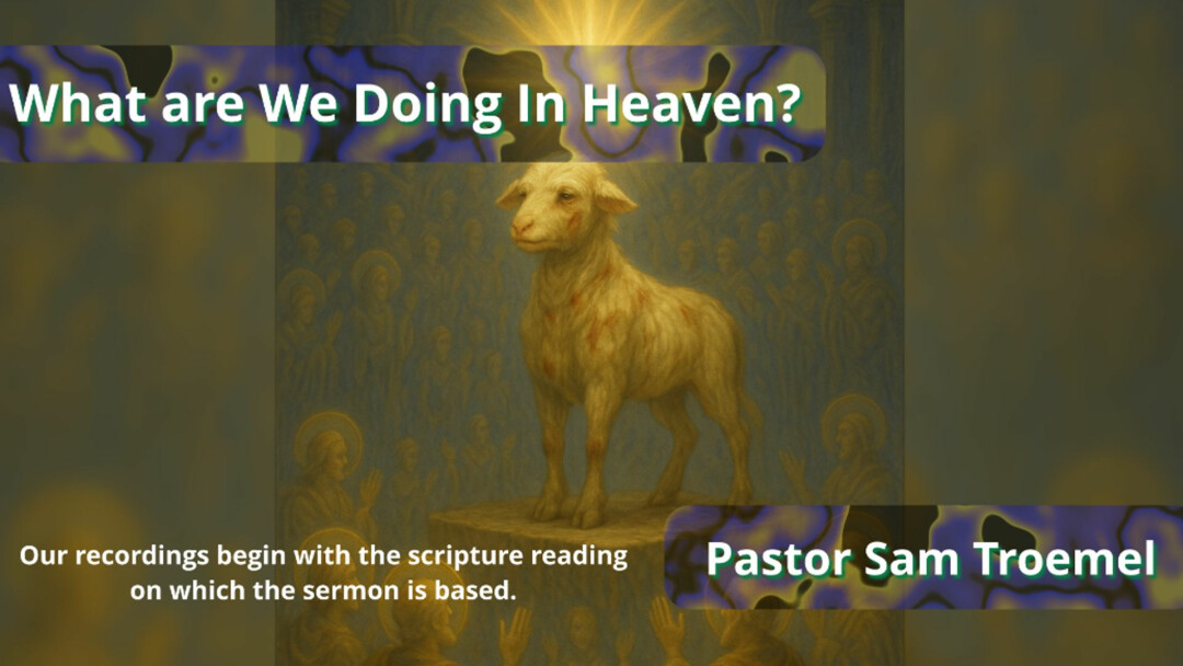 What are We Doing In Heaven?