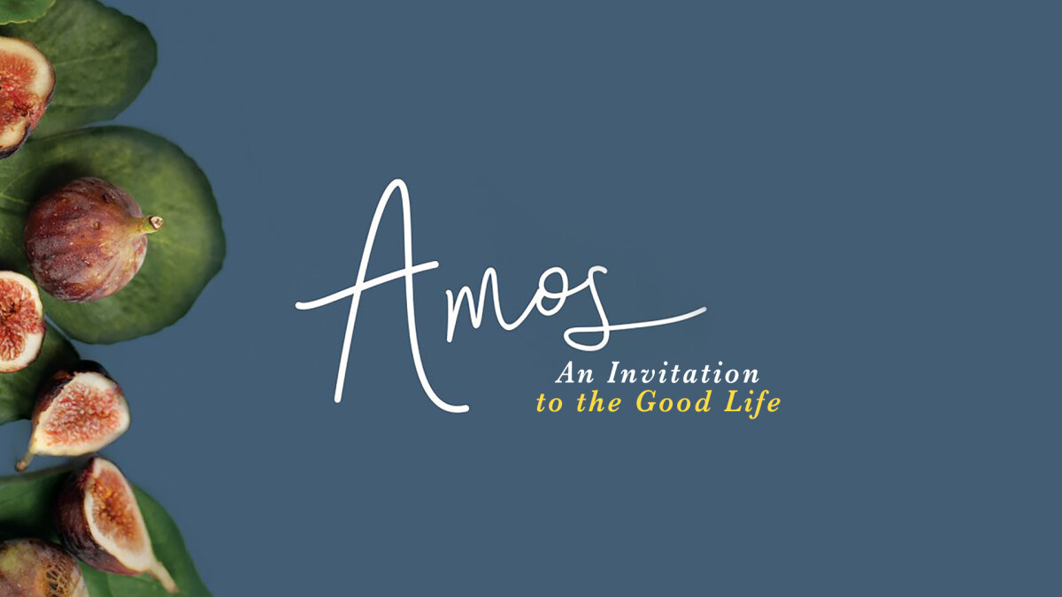Women's Bible Study: Amos
