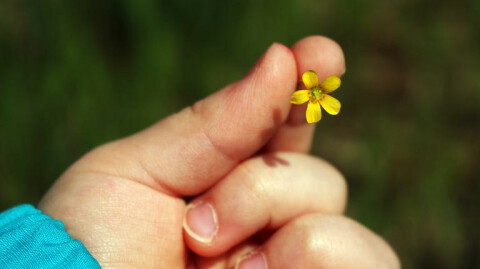 On Kindness