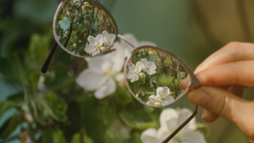 I Can See Clearly Now