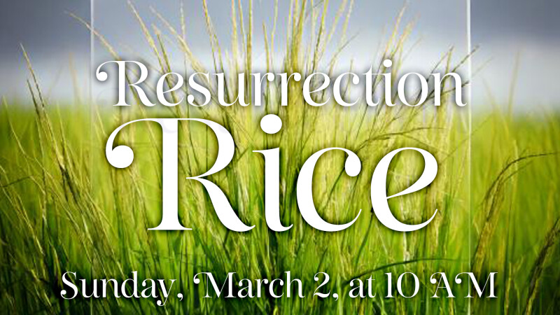 Resurrection Rice Mission