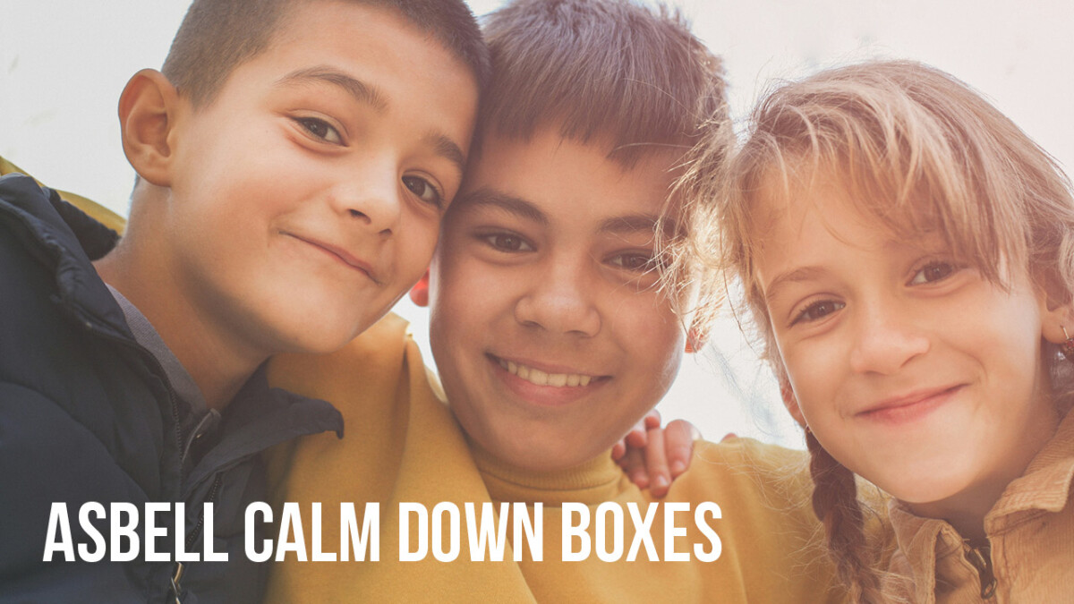 Asbell Calm-down Boxes