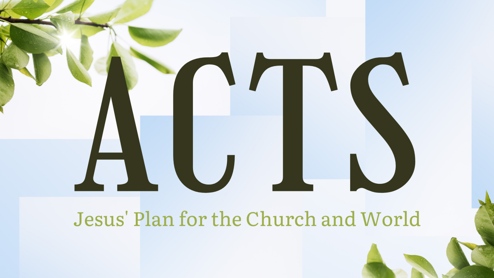 Acts: Jesus' Plan for the Church and World