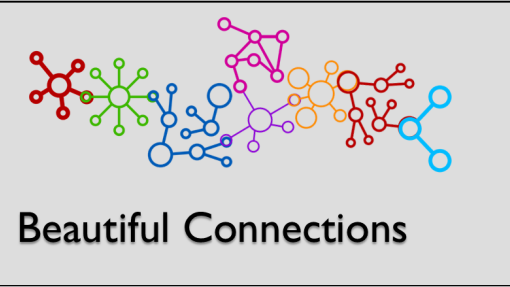Beautiful Connections: About Shobi