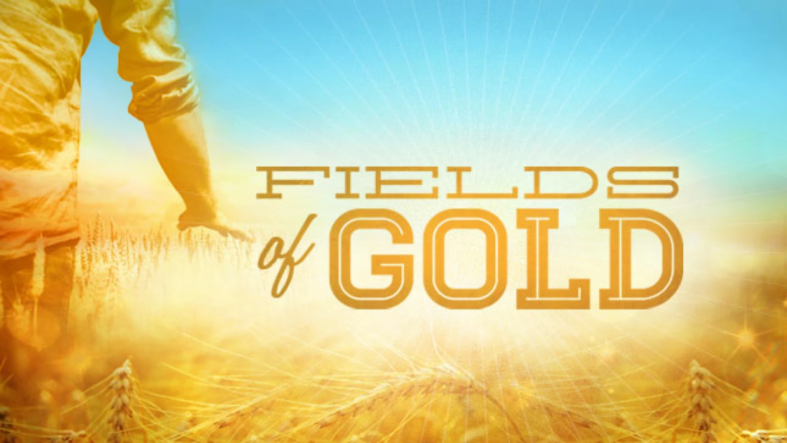 Fields of Gold