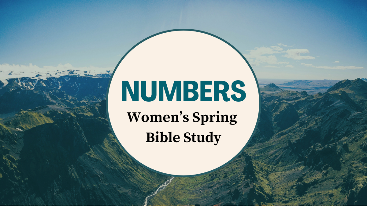 Women's Spring Bible Study