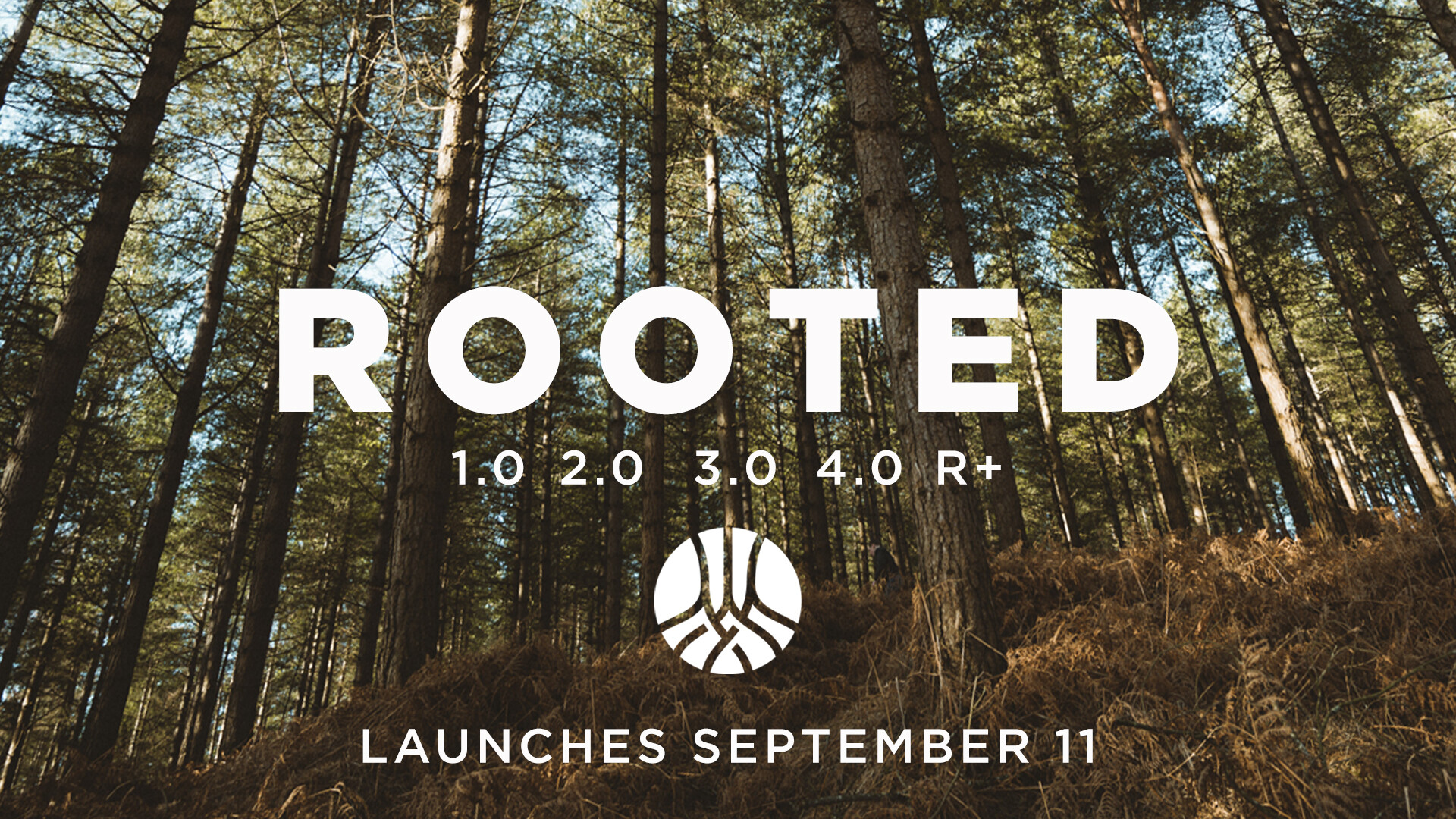 Rooted: Fall 2022