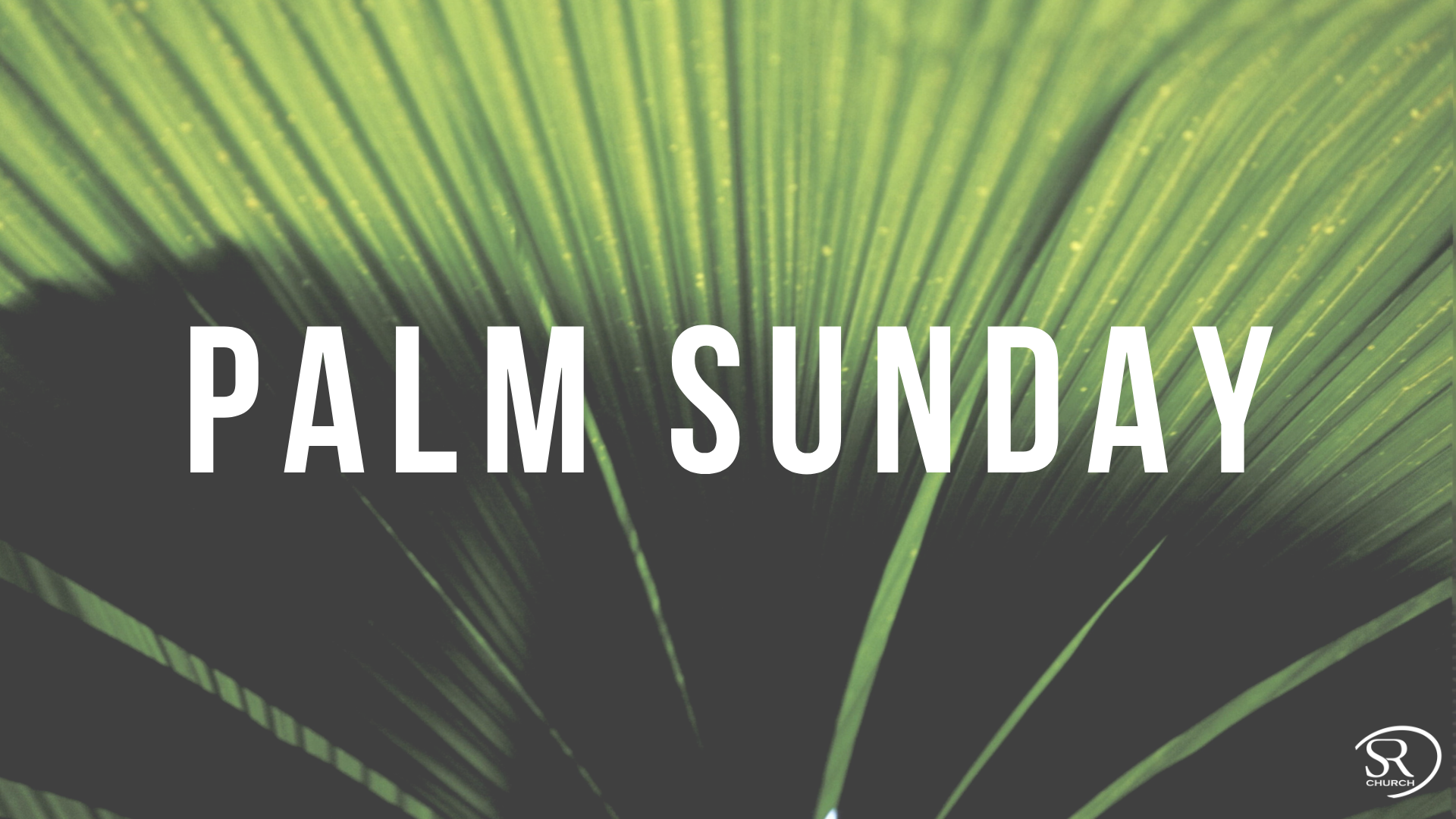 Solid Rock Church Sermons
