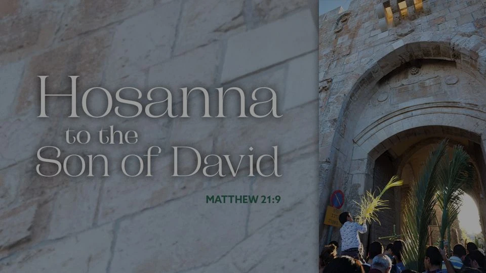 Watch March 29 Live Stream