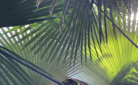 From False Self to New Life