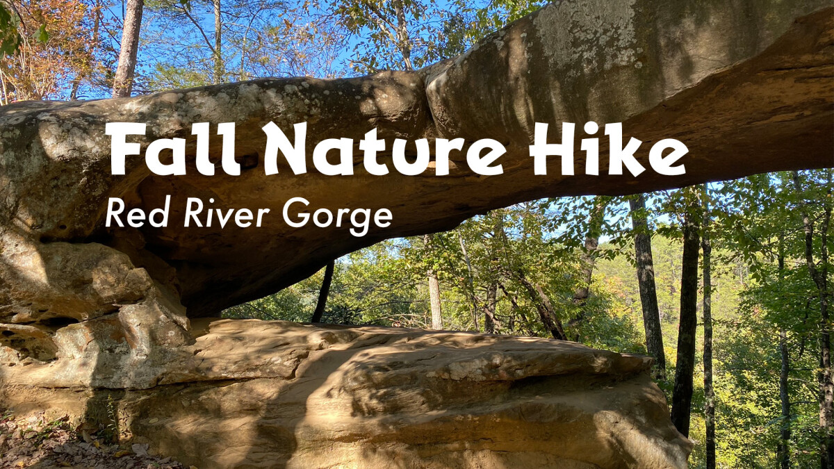 Fall Nature Hike