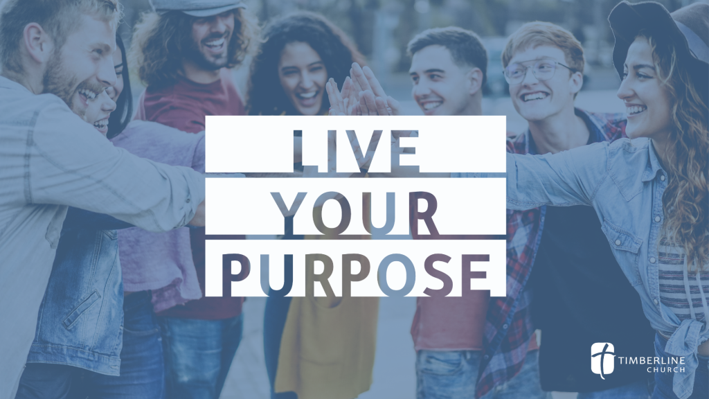 Live Your Purpose