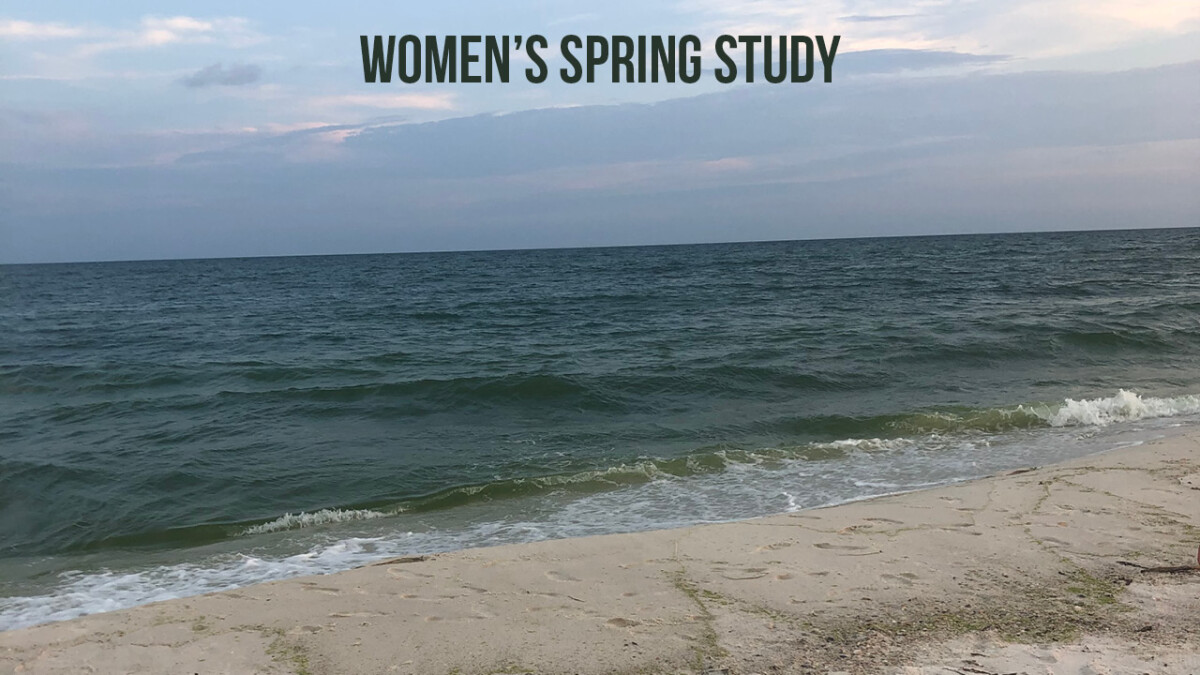 Women's Spring Study: Abide and Behold