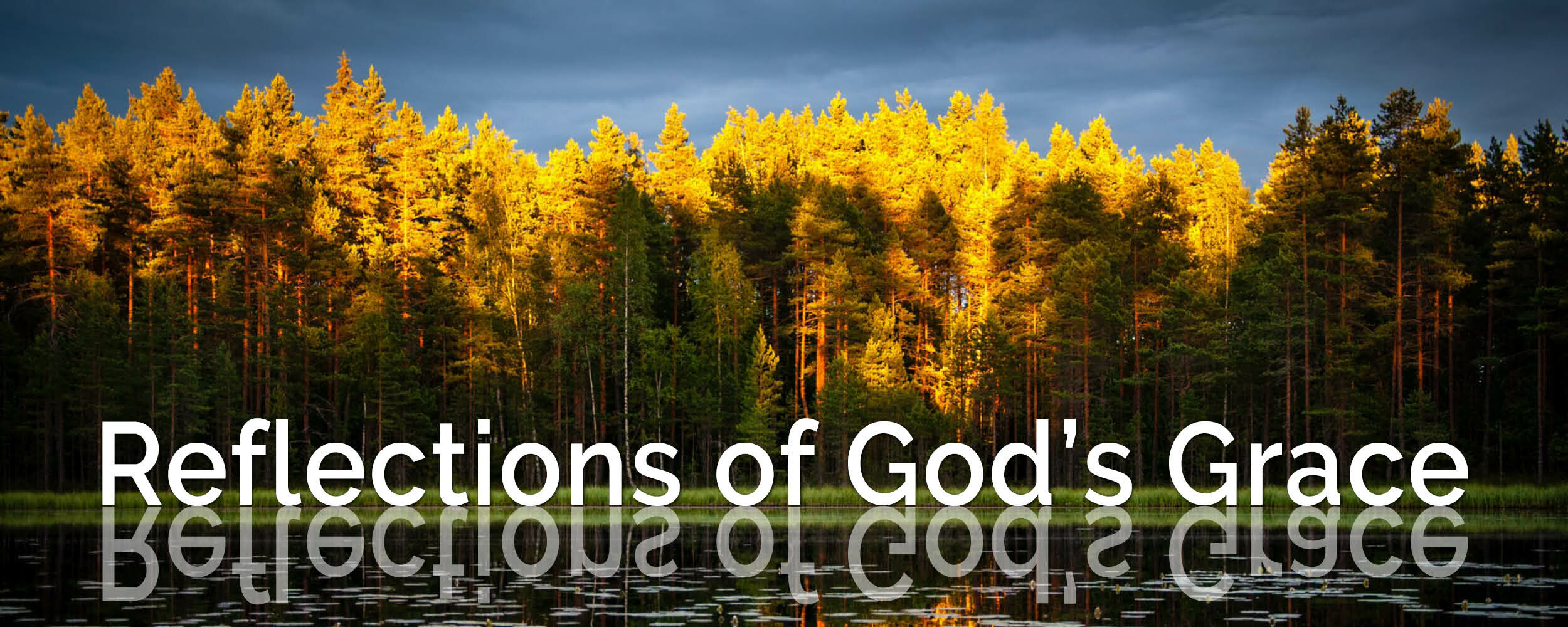 Reflections of God's Grace, Week 2