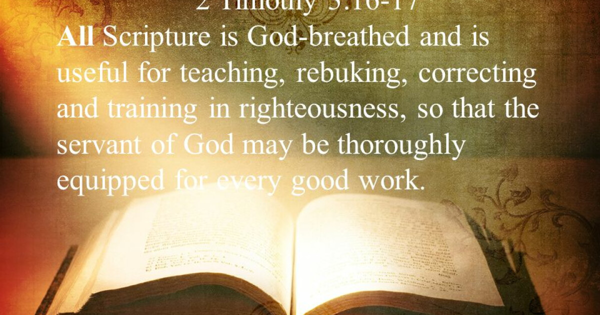 Why We Need God's Word Bible Studies For Life First Baptist Church