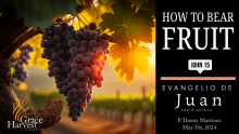 Sermon May 5th, 2024 "How to Bear Fruit" Pastor Danny Martinez