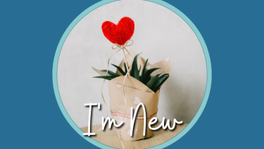plant gift with heart