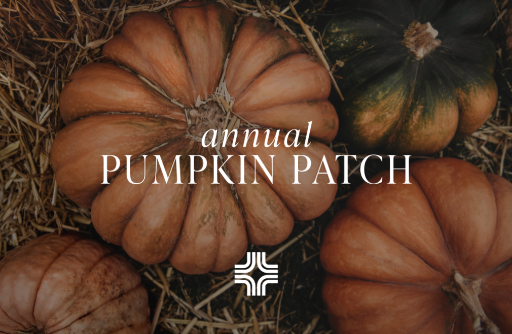 Pumpkin Patch