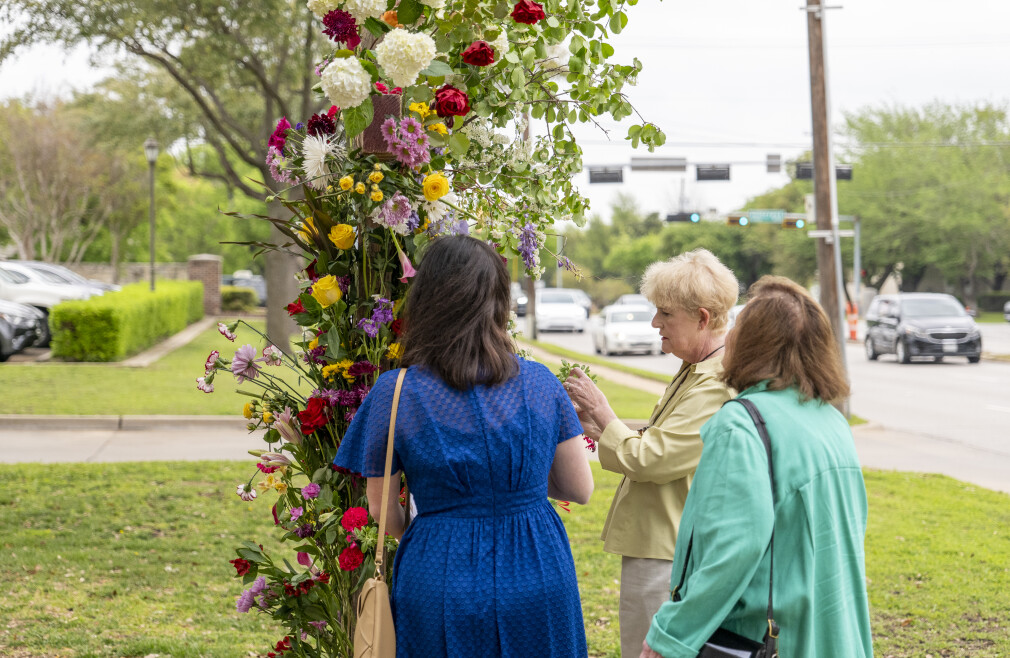 Flowering of the Cross