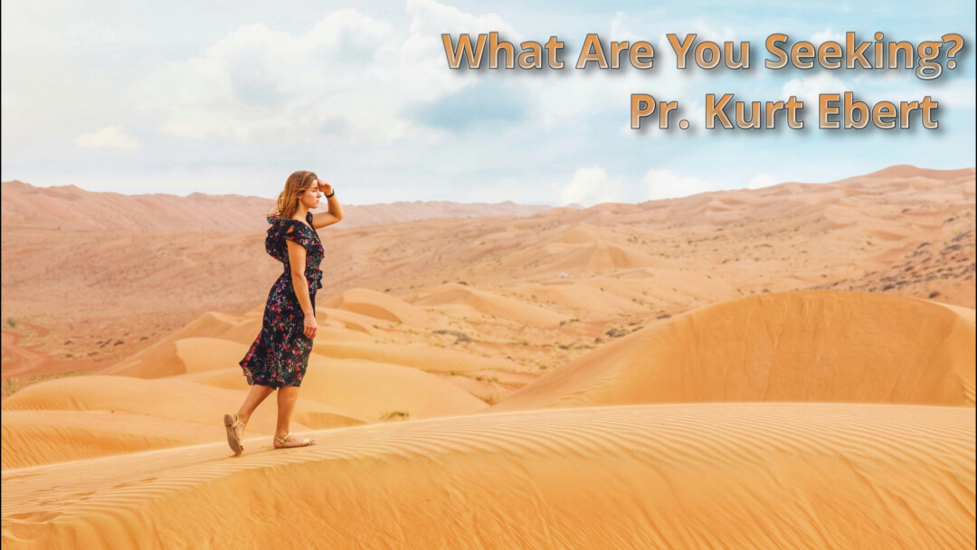 What Are You Seeking?