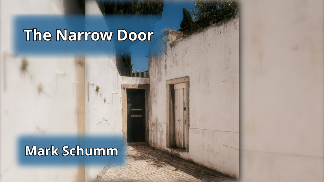 The Narrow Door