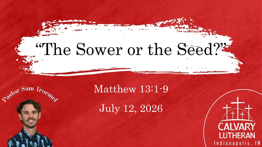 Seed or Soil