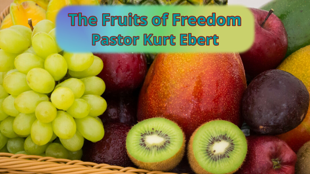 The Fruits of Freedom